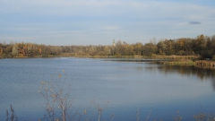 Rybník Pilarčík